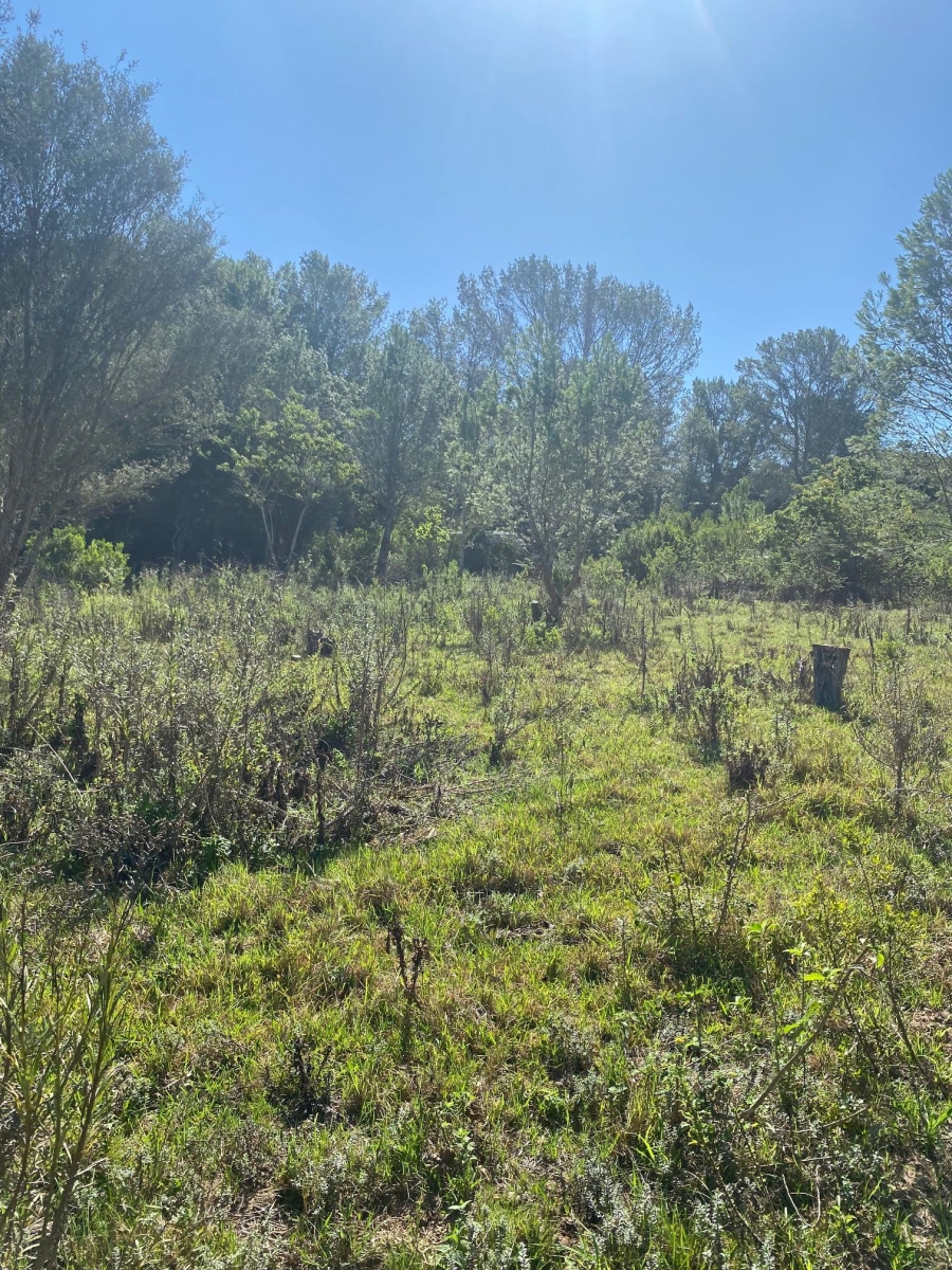 0 Bedroom Property for Sale in Bathurst Eastern Cape